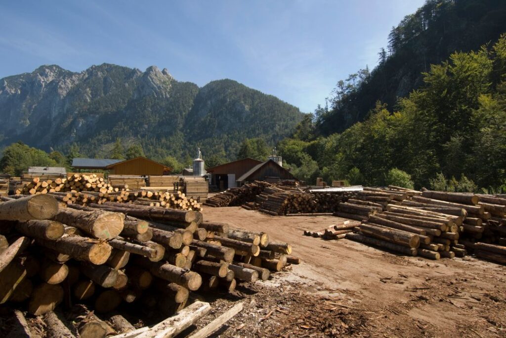 dlaczego-warto-wybrac-parkiet-drewniany-od-lokalnego-producenta-z-kujawsko-pomorskiego