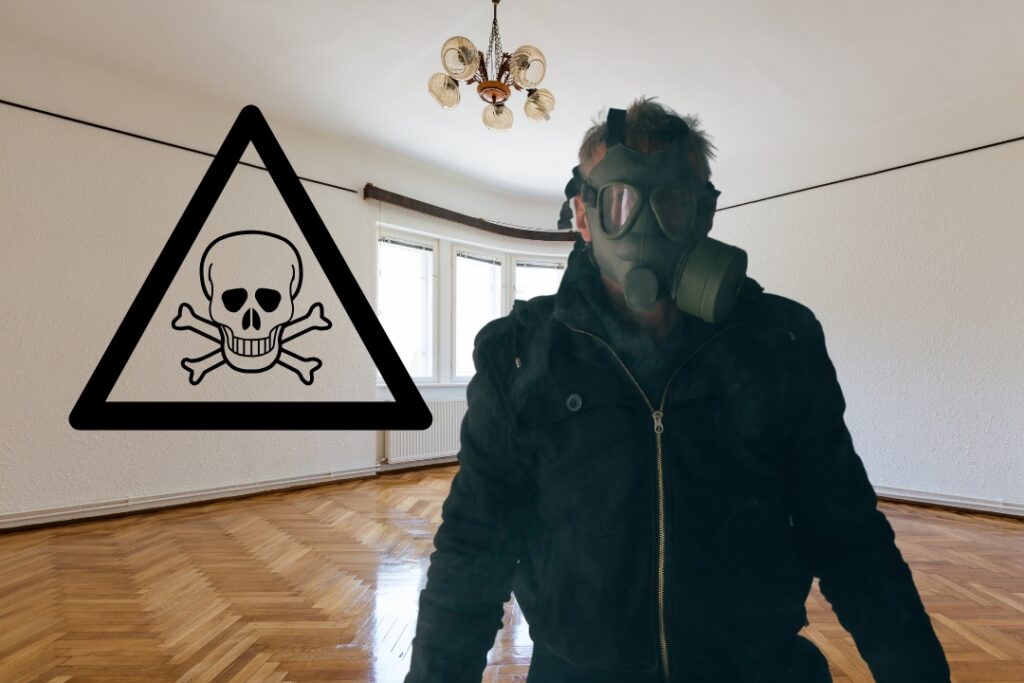 Subit – Ukryte Zagrozenie w Starych Podlogach Drewnianych